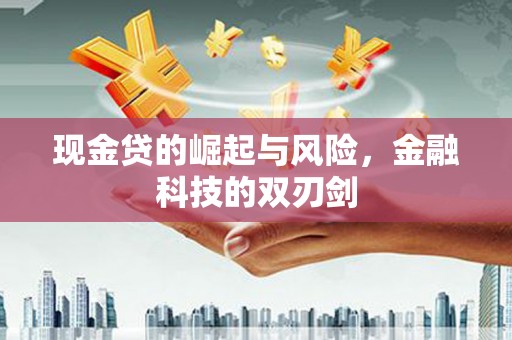 大武现金贷的崛起与风险，金融科技的双刃剑