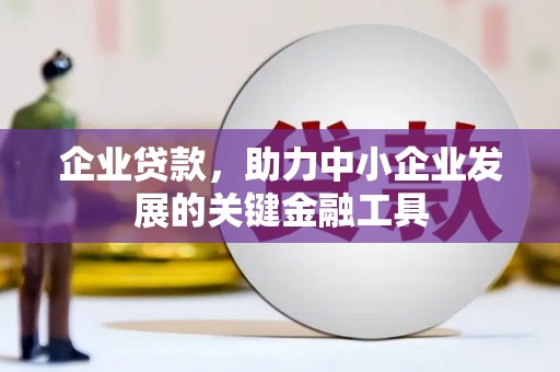 大武企业贷款，助力中小企业发展的关键金融工具