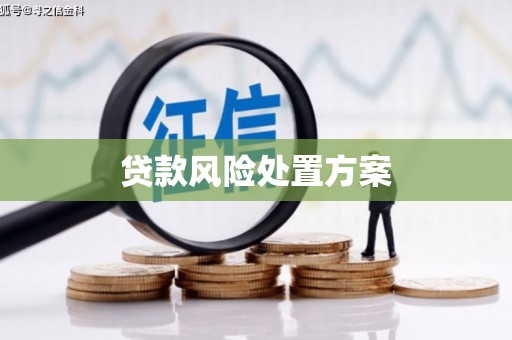大武贷款风险处置方案