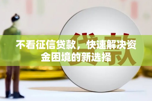 大武不看征信贷款，快速解决资金困境的新选择
