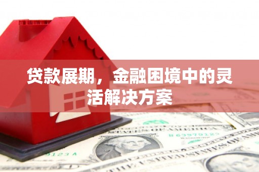 大武贷款展期，金融困境中的灵活解决方案