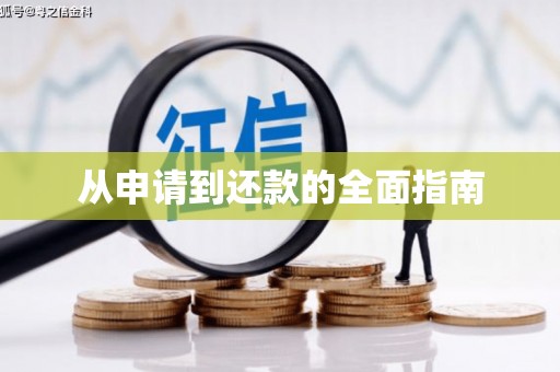 大武从申请到还款的全面指南