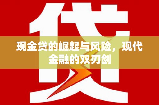 大武现金贷的崛起与风险，现代金融的双刃剑