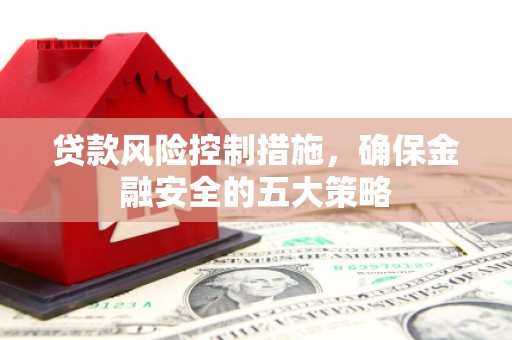 大武贷款风险控制措施，确保金融安全的五大策略
