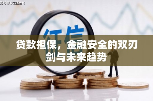 大武贷款担保，金融安全的双刃剑与未来趋势
