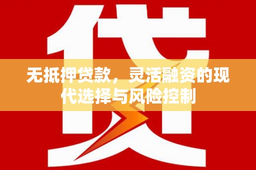 大武无抵押贷款，灵活融资的现代选择与风险控制
