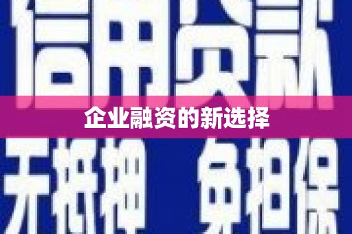 大武企业融资的新选择