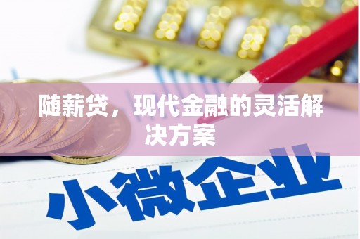 大武随薪贷，现代金融的灵活解决方案