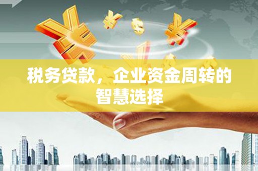 大武税务贷款，企业资金周转的智慧选择