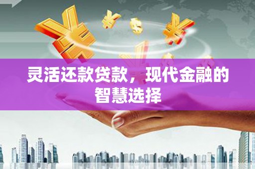 大武灵活还款贷款，现代金融的智慧选择