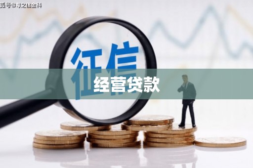 大武经营贷款