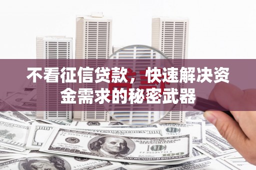 大武不看征信贷款，快速解决资金需求的秘密武器
