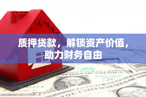 大武质押贷款，解锁资产价值，助力财务自由