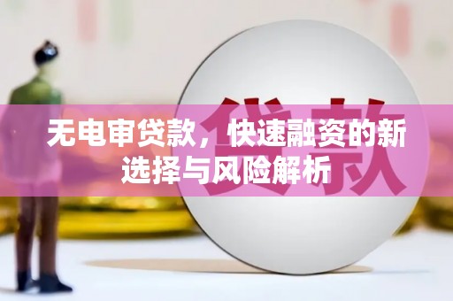 大武无电审贷款，快速融资的新选择与风险解析