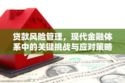 大武贷款风险管理，现代金融体系中的关键挑战与应对策略