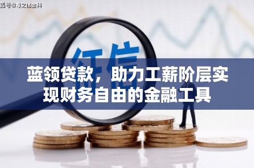大武蓝领贷款，助力工薪阶层实现财务自由的金融工具