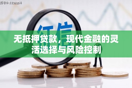 大武无抵押贷款，现代金融的灵活选择与风险控制