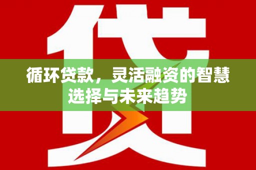大武循环贷款，灵活融资的智慧选择与未来趋势
