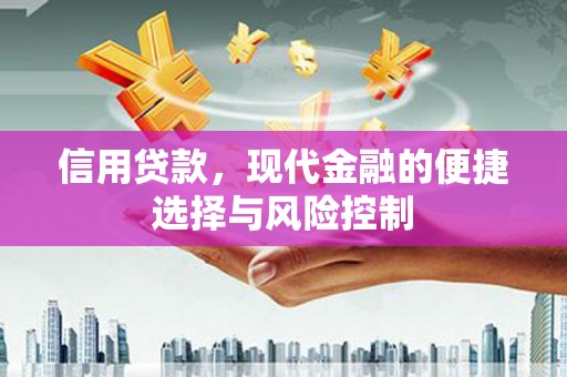 大武信用贷款，现代金融的便捷选择与风险控制