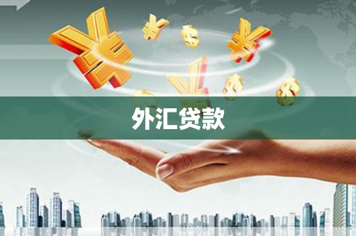 大武外汇贷款
