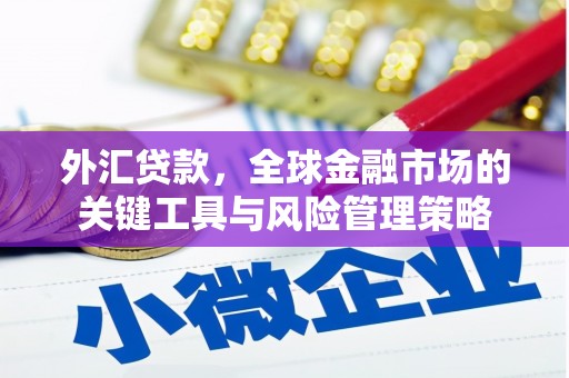 大武外汇贷款，全球金融市场的关键工具与风险管理策略