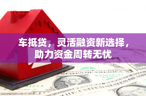 大武车抵贷，灵活融资新选择，助力资金周转无忧