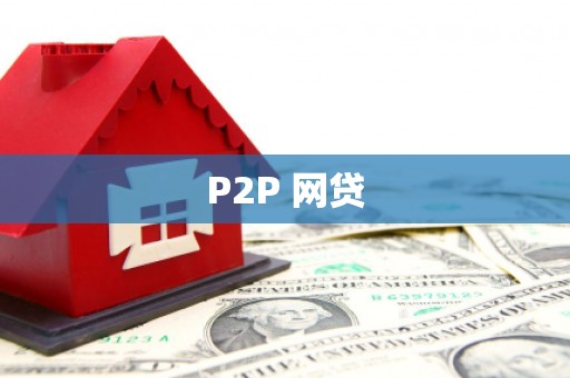 大武P2P 网贷