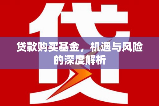 大武贷款购买基金，机遇与风险的深度解析
