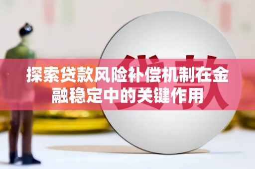 大武探索贷款风险补偿机制在金融稳定中的关键作用