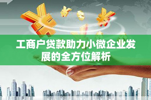 大武工商户贷款助力小微企业发展的全方位解析