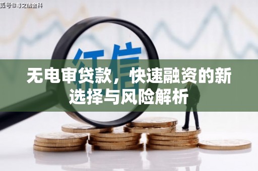 大武无电审贷款，快速融资的新选择与风险解析