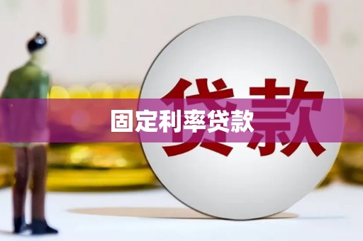 大武固定利率贷款