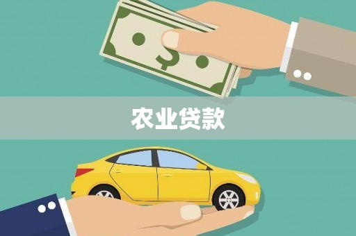 大武农业贷款