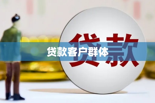 大武贷款客户群体