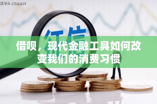 大武借呗，现代金融工具如何改变我们的消费习惯