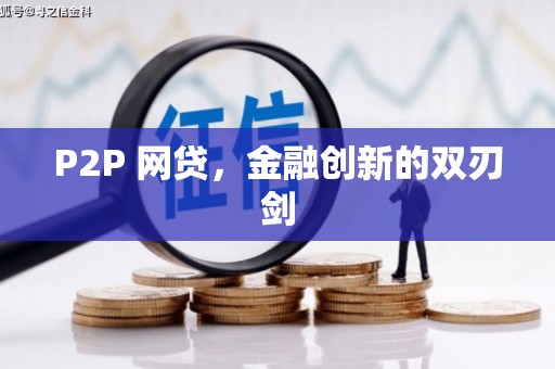 大武P2P 网贷，金融创新的双刃剑