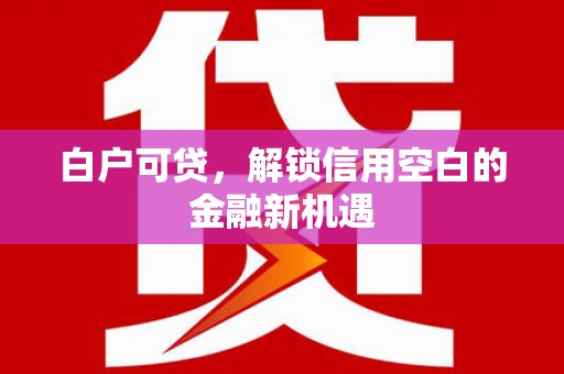 大武白户可贷，解锁信用空白的金融新机遇
