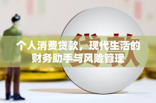 大武个人消费贷款，现代生活的财务助手与风险管理