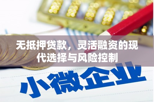 大武无抵押贷款，灵活融资的现代选择与风险控制