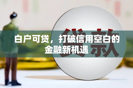 大武白户可贷，打破信用空白的金融新机遇