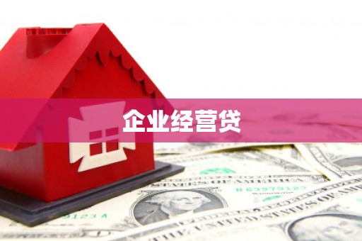 大武企业经营贷