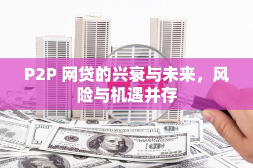 大武P2P 网贷的兴衰与未来，风险与机遇并存