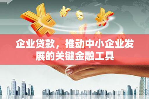 大武企业贷款，推动中小企业发展的关键金融工具