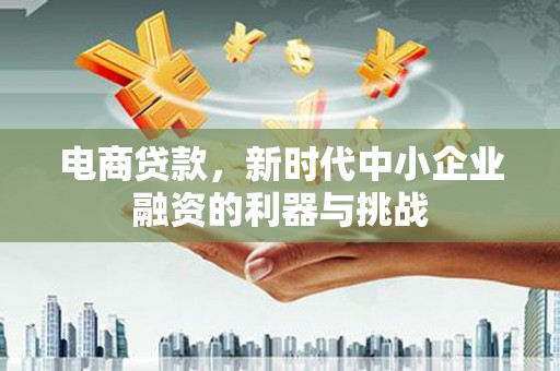 大武电商贷款，新时代中小企业融资的利器与挑战