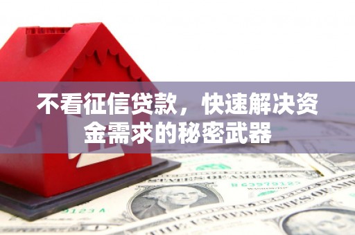 大武不看征信贷款，快速解决资金需求的秘密武器