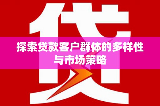 大武探索贷款客户群体的多样性与市场策略