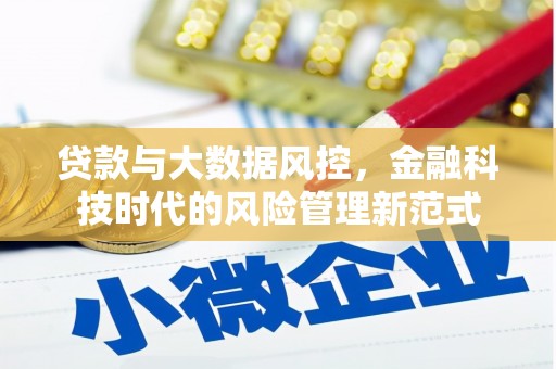 大武贷款与大数据风控，金融科技时代的风险管理新范式