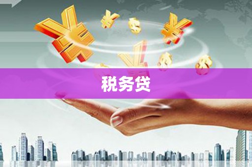 大武税务贷