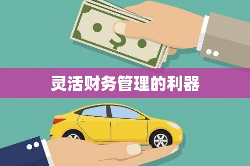 大武灵活财务管理的利器