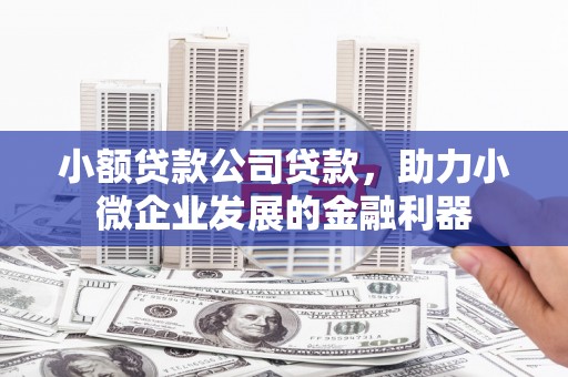 大武小额贷款公司贷款，助力小微企业发展的金融利器